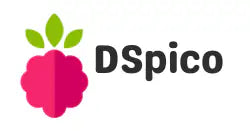 🍓 DSpico